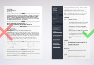 Sample Resume for Lawn Care Specialist Landscaping Resume Samples (job Description, Skills & Tips)