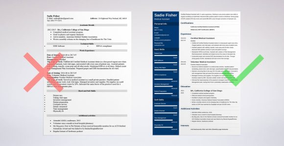 Sample Resume for Lead Medical assistant Medical assistant Resume Examples: Duties, Skills & Template