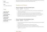 Sample Resume for Lead Patient Care Hostess Hospital 350lancarrezekiq Free Resume Examples by Industry & Job (full Resume Guides)