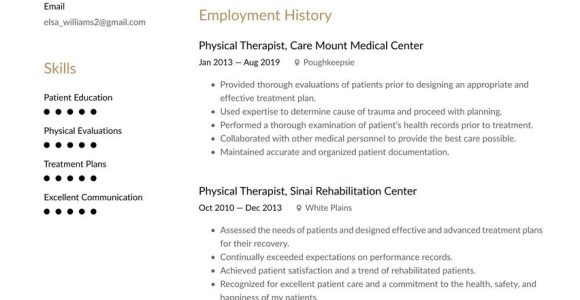 Sample Resume for Lead Patient Care Hostess Hospital 350lancarrezekiq Free Resume Examples by Industry & Job (full Resume Guides)