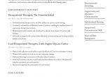 Sample Resume for Lead Patient Care Hostess Hospital Occupational therapist Resume Examples & Writing Tips 2022 (free