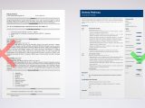 Sample Resume for Lead therapist Position Occupational therapy Resume Examples & Ot Skills