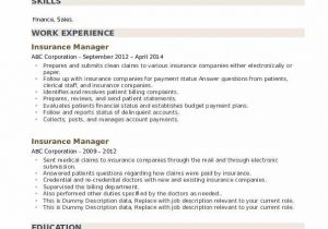 Sample Resume for Life Insurance Sales Manager Insurance Manager Resume Samples