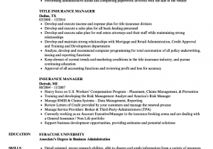 Sample Resume for Life Insurance Sales Manager Insurance Manager Resume Samples