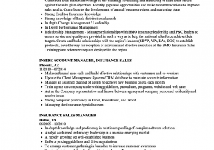 Sample Resume for Life Insurance Sales Manager Insurance Sales Manager Resume Samples