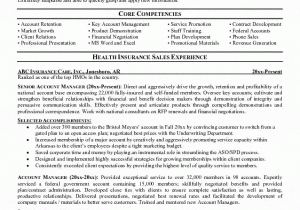 Sample Resume for Life Insurance Sales Manager Sales Manager Insurance Resume Liberty Life Insurance