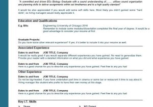 Sample Resume for Long Term Unemployed Resume Unemployed Time Copywriterbranding X Fc2