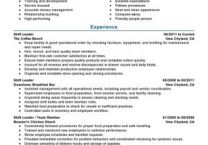 Sample Resume for Managing Director Position Best Hourly Shift Manager Resume Example From Professional