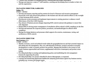 Sample Resume for Managing Director Position Managing Director Resume Samples