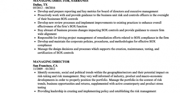 Sample Resume for Managing Director Position Managing Director Resume Samples