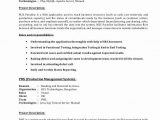 Sample Resume for Manual Testing Banking Domain Sample Qa Tester Resume for Banking Domain Best Resume