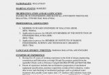Sample Resume for Marine Engineering Cadet Marine Engineer Cv Template July 2021