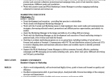 Sample Resume for Marketing Executive Position Marketing and Sales Executive Resume Samples Marketing