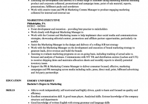 Sample Resume for Marketing Executive Position Marketing and Sales Executive Resume Samples Marketing