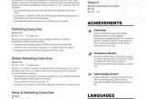 Sample Resume for Marketing Executive Position Marketing Executive Resume Examples