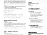 Sample Resume for Marketing Executive Position Marketing Executive Resume Examples