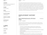 Sample Resume for Marketing Executive Position Marketing Executive Resume Sample In 2020