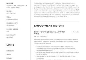 Sample Resume for Marketing Executive Position Marketing Executive Resume Sample In 2020