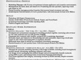 Sample Resume for Marketing Executive Position Marketing Resume Sample