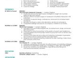 Sample Resume for Marketing Executive Position Resume format 2016 2017for Marketing Manager
