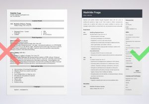 Sample Resume for Med Surg Nurse Medical Surgical Nurse Resume Sample [job Description Tips]