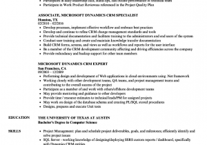 Sample Resume for Microsoft Dynamics Crm Microsoft Dynamics Crm Resume Samples