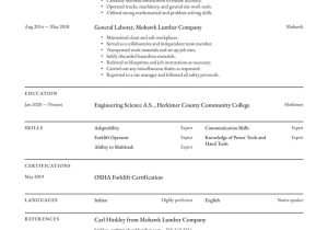 Sample Resume for Minimum Wage Jobs General Laborer Resume Examples & Writing Tips 2022 (free Guide)