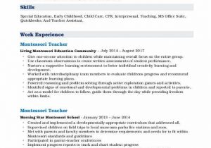 Sample Resume for Montessori assistant Teacher Montessori Teacher Resume Samples