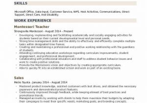 Sample Resume for Montessori assistant Teacher Montessori Teacher Resume Samples