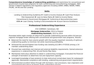 Sample Resume for Mortgage Loan originator Mortgage Underwriter Resume Sample Monster.com