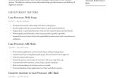 Sample Resume for Mortgage Loan Specialist Loan Processor Resume Examples & Writing Tips 2022 (free Guide)