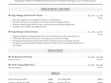 Sample Resume for Movie theater Manager Stage Manager Resume Examples & Writing Tips 2022 (free Guide)