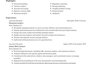 Sample Resume for Ms Application In Us Resume for Job Interview Ms Word