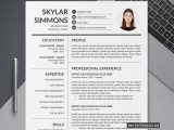 Sample Resume for Ms Application In Us Unlimited Download Professional Cv Template for Job