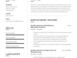 Sample Resume for Ms In Us Information assurance Quality assurance Resume Example & Writing Guide Â· Resume.io