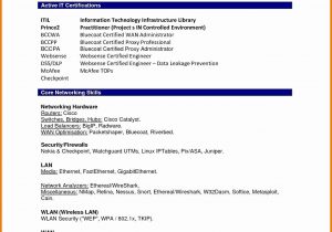 Sample Resume for Msc Biochemistry Freshers Bsc Chemistry Fresher Resume format Download Best Resume
