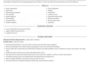 Sample Resume for Mutual Fund Operations Mutual Fund Sales Representative Resume Editor & Example