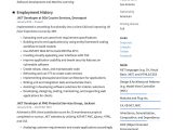 Sample Resume for Net Developer Using Entity Framework Net Developer Resume & Writing Guide  17 Templates 2022