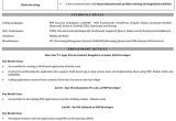 Sample Resume for Net Developer with 1 Year Experience 1 Year Experience Cv Template Resume Examples