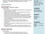 Sample Resume for Net Developer with 2 Year Experience Java Developer Resume 2 Years Experience Beautiful Junior