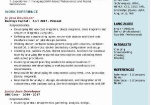 Sample Resume for Net Developer with 2 Year Experience Java Developer Resume 2 Years Experience Beautiful Junior