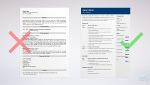 Sample Resume for Net Developer with 2 Years Experience Net Developer Resume Samples [experienced & Entry Level]