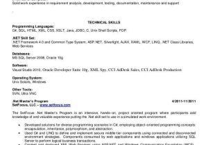 Sample Resume for Net Developer with 5 Year Experience Sample Resume format for 5 Years Experience