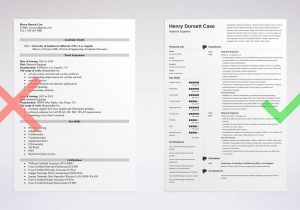 Sample Resume for Network Engineer Fresher Network Engineer Resume Sample [lancarrezekiqalso for Entry Level]
