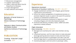 Sample Resume for New Flight attendant Flight attendant Resume Sample 2022 Writing Tips – Resumekraft