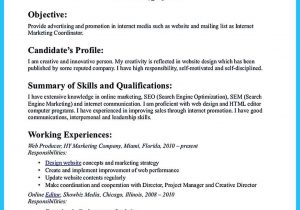 Sample Resume for New Job Seekers Contemporary Advertising Resume for New Job Seeker