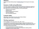 Sample Resume for New Job Seekers Cool Contemporary Advertising Resume for New Job Seeker