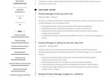 Sample Resume for New Product Development Product Manager Resumes & Guide  22 Samples Pdfs 2022