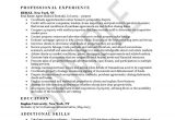 Sample Resume for New Real Estate Agent Real Estate Agent Resume Example Sample