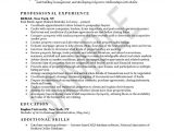 Sample Resume for New Real Estate Agent Real Estate Agent Resume Example Sample